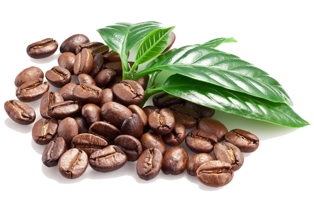 Dokito coffee beans